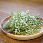 【簡単料理レシピ】シソの花の天ぷら