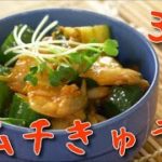 【おつまみレシピ】キムチきゅうり　簡単で美味しい手作り料理