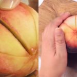 【レシピ】簡単にできる桃のむき方＆切り方｜The easy way of peeling and cutting peaches.