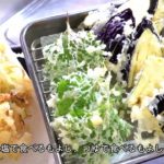 節約レシピ| 天ぷら 秘密の衣でサックサク| 社員食堂元パート主婦が作る日々の料理| 毎日の献立に役立つ料理レシピ