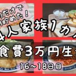 【食費節約生活】４人家族１ヵ月３万円🌷鶏ムネざんまい🐔１６〜１８日目【レシピ公開】