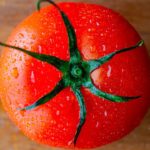【夏に食べたい！】トマトを使った簡単おつまみレシピ3品～3 tomato dishes～