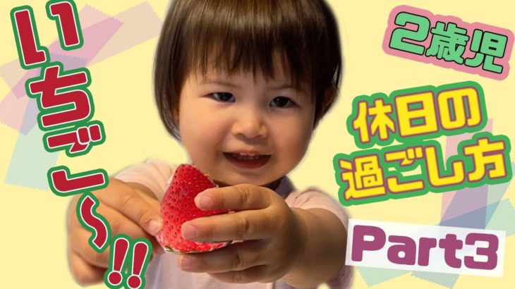 【２歳児の休日ルーティン】美味しい大きなイチゴとママのお手伝いをするあーちゃん　No.3