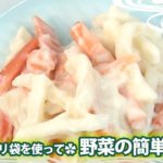 ポリ袋を使って✿野菜の簡単粕漬け【日本料理レシピTV】