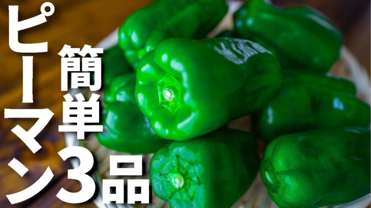 ピーマンを使った和風簡単おつまみレシピ3品～3 Japanese style green pepper dishes～