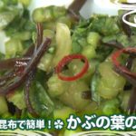塩昆布で簡単！✿かぶの葉の浅漬け【日本料理レシピTV】