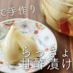 【簡単・少量】らっきょうの甘酢漬けのレシピ・作り方