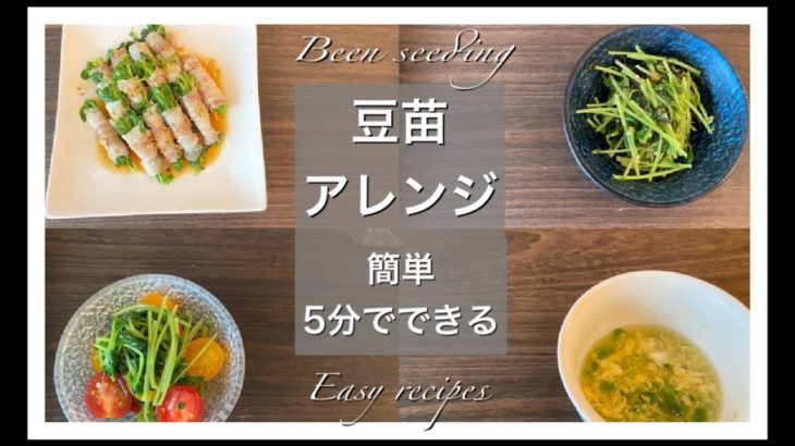 【簡単・時短レシピ】豆苗アレンジ料理4つ