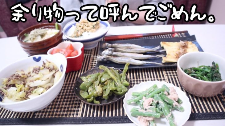 【簡単9品】野菜ソムリエOLが冷蔵庫の余り物で作る即席レシピ。【作り置き】【26歳OLの料理記録】【料理ルーティン】