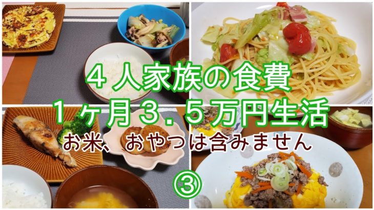 【節約】料理が苦手な主婦が１ヶ月の食費3.5万円を目指します/６～８日目/キャベツ料理/簡単ご飯
