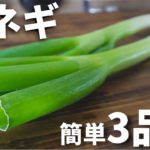 長ネギを使った簡単おつまみレシピ3品～3 Japanese leek recipes～