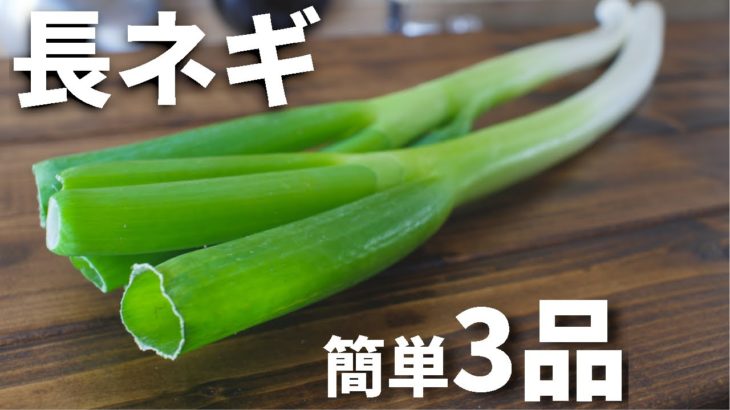 長ネギを使った簡単おつまみレシピ3品～3 Japanese leek recipes～