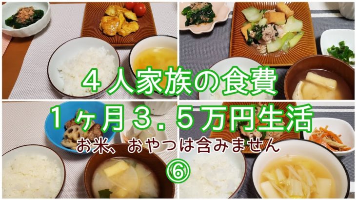 【節約】料理が苦手な主婦が１ヶ月の食費３.５万円を目指します/１８～２１日目