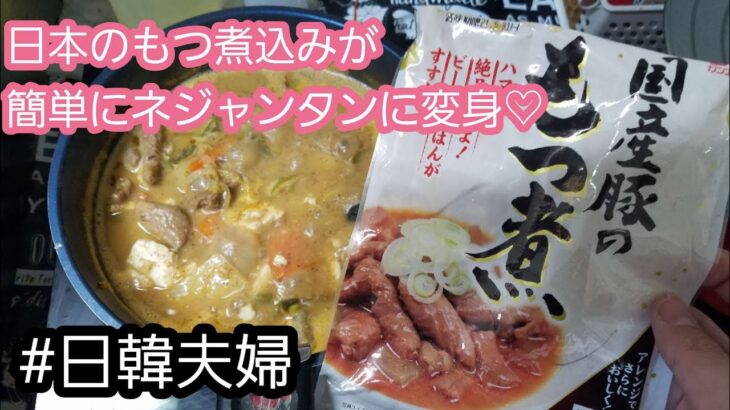 【韓国料理】【レシピ】日本のもつ煮込みを簡単にネジャンタン風に変身させてみた