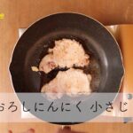 【男の料理】簡単レシピを動画で紹介！～生姜焼きプレート編～