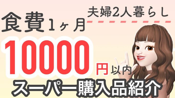 【まとめ買い】2人暮らし食費¥10000/月の主婦のスーパー購入品紹介します！　買い出しルーティン