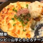 【さくっと簡単料理　♯489】居酒屋レシピ☆山芋とろとろチーズ焼き