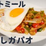 オートミールの肉なしガパオ / アレンジレシピ / ダイエット / ベジタリアン / 料理ルーティン / 作り方 / ASMR
