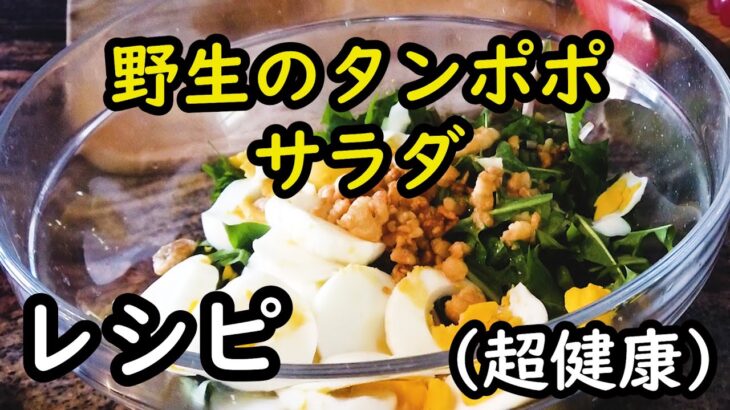 野生【たんぽぽサラダ】のレシピ/欧州の健康料理の簡単な作り方