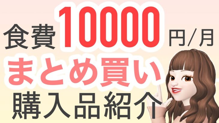 【まとめ買い】食費¥10000/月の主婦のスーパー購入品紹介します！　買い出しルーティン