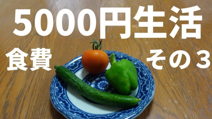 【節約】食費1週間2人で5000円チャレンジその3完結編【シニアVlog】