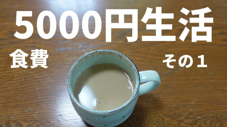 【節約】食費1週間2人で5000円チャレンジその１【シニアVlog】