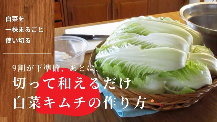 第8話【韓国料理レシピ】白菜キムチの作り方｜白菜をまるごと1株使い切るザク切りキムチの作り方｜白菜消費にもおすすめ｜白菜の美味しい切り方