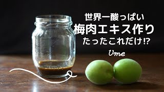 【梅しごと】梅肉エキス作りに挑戦/作り方/レシピ/料理Vlog