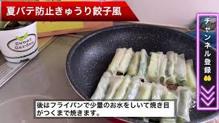 簡単料理　夏バテ防止きゅうり餃子風#簡単料理#簡単レシピ#餃子