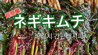 【韓国料理】파김치 ネギキムチの作り方!!暑い夏にピッタリのキムチ!! 誰でも簡単にできるネギキムチのレシピ‼︎호키친 파김치레시피