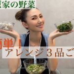 【超簡単料理】5分でできる！？春菊・里芋・ピーマンの簡単アレンジレシピ