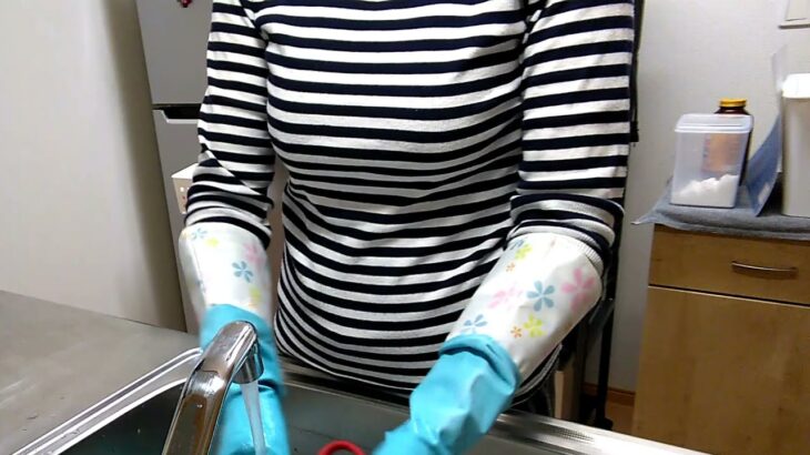 キッチンリセット 水色のゴム手袋 主婦 毎日 ASMR
