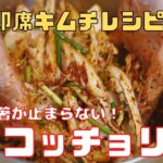 [韓国料理]コッチョリ/即席キムチ/無限白菜/簡単レシピ/キムチ/おつまみ