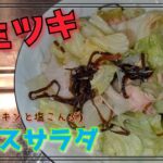【我が家のレシピ】簡単ヤミツキ！サラダ