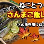 【ねこと料理】鍋で炊くさんまご飯レシピ【簡単】