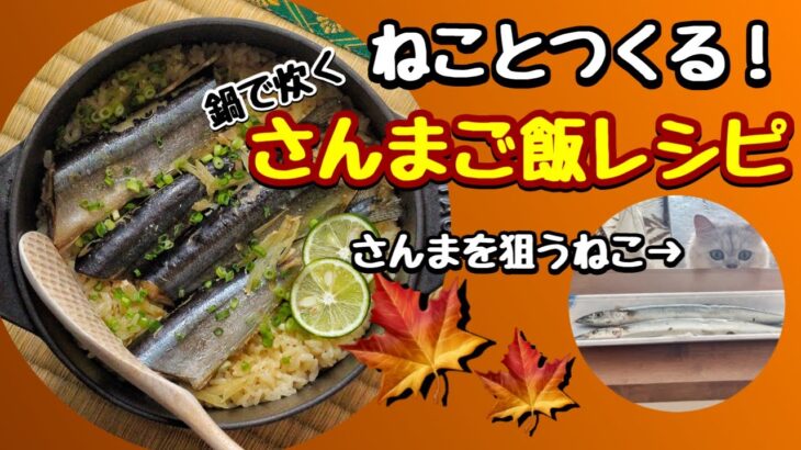 【ねこと料理】鍋で炊くさんまご飯レシピ【簡単】