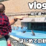【主婦vlog】1歳3ヶ月の娘と初めての動物園/節約料理