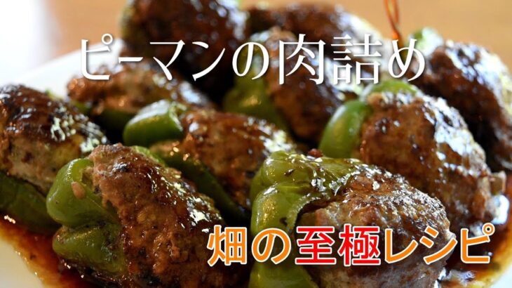 ピーマンの肉詰めレシピ　誰でも簡単ジューシー、家庭で最高に美味しく作るコツ　畑のピーマンで至極の肉詰め完成　Japanese stuffed bellpeppers