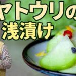 【簡単10分】ハヤトウリ（隼人瓜）の浅漬け|ハヤトウリの食べ方と切り方