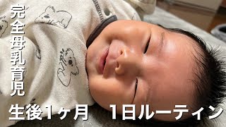 【生後1ヶ月】完全母乳育児　赤ちゃんの1日ルーティン　1day routine for  1 month old japanese baby