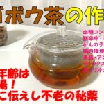 【料理編】ごぼう茶超簡単レシピ♪作り方、効能ご紹介♪