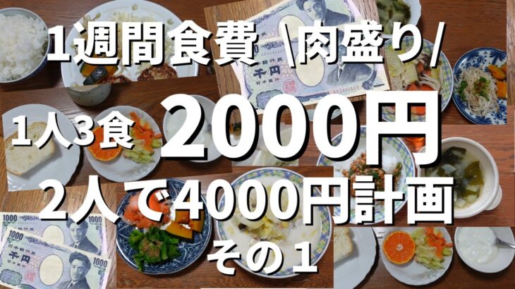【節約ごはん】1週間1人３食2000円(2人で4000円)肉盛り計画その１