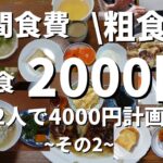 【節約ごはん】1週間1人3食2000円計画(2人で4000円)その２