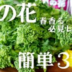 【菜の花レシピ】春を味わう🍀菜の花を使った簡単料理3品