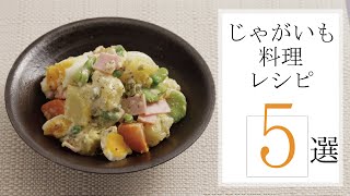 じゃがいも料理レシピ５選🍽【きちんとキッチンbydaiei】