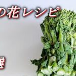 【菜の花レシピ ３選】菜の花の簡単にサッとできるこんな食べ方アレンジレシピ