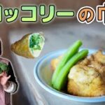 【簡単】ブロッコリーと卵の巾着作り方｜味しみ！季節の野菜で味わう巾着レシピ