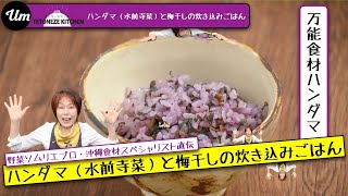 【沖縄の島野菜レシピ】ハンダマ（水前寺菜）と梅干しの炊き込みごはん 【うるマルシェ食材でおウチごはん】