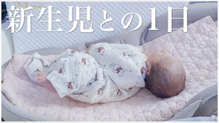 【密着】新生児との1日｜混合育児の授乳ルーティン【生後20日】