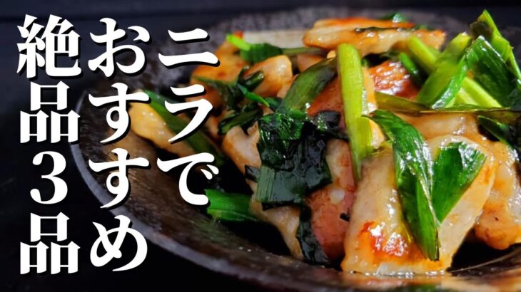 【ニラ】レシピ3選｜超簡単レシピから、メイン料理まで！絶対得する！！